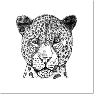 Leopard Posters and Art